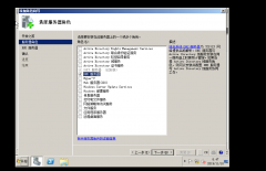 windows虚拟机中DNS服务配置