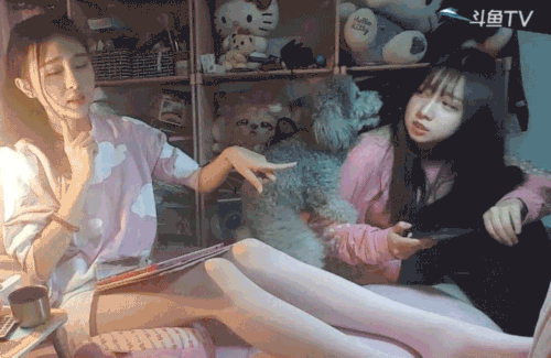 泰迪为何如此“好色”？ 8090安详门户