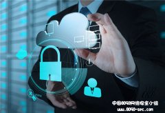 四个法式加强网络防护 8090安适门户
