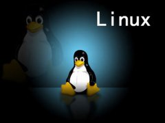 Linux防火墙的观点与企业中的应用 8090安适门户