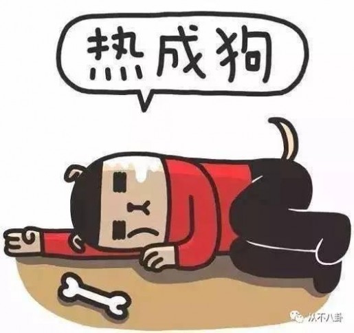 就是没上心! 细数斗鱼嘉年华五宗罪