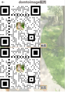 vue使用domtoimage实现移动端H5页面截图