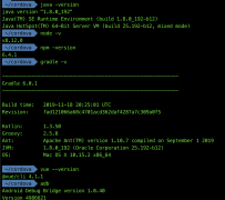 cordova vue-cli4构建app