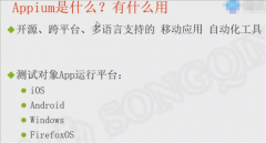 python，appium，初步