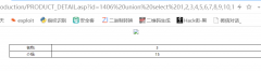 基础篇——SQL注入（手工注入）