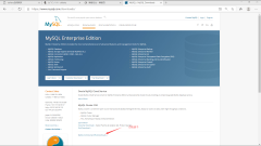 windows安装MySQL详细步骤