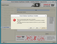 redhat 7.6安装oracle 11gR2遇到两个问题