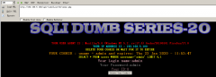 Sqli-Labs less20-22