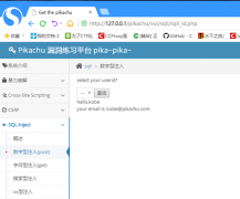 pikachu漏洞练习之sql注入