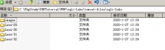 Sqli-Labs less29-31