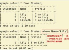 Web信息安全实践_6 SQL注入