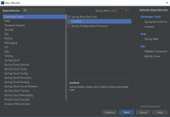 IDEA新建SpringBoot MySQL MyBatis Lombok Spring Boot DevTools项目