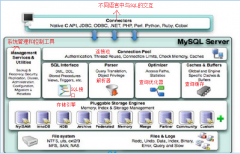 MySQL (二)