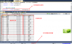MySQL快速入门(二)