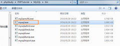 SQL语言基础和数据库操作