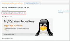 linux mysql的安装