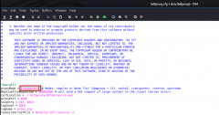 Ethical Hacking - GAINING ACCESS(13)