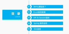 Druid数据源SQL数据库与Spring监控