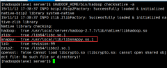HBase 安装snappy压缩软件以及相关编码配置