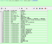 如何将sql查询出的列名用注释代替？