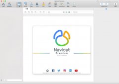 Navicat Premium 15 for Mac(数据库管理) v15.0.4中文