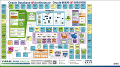 oracle 架构图