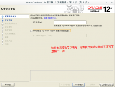Oracle 的安装与基本操作