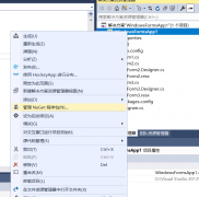 C#窗体连接MySql并通过DataGridView展示数据