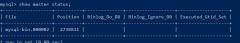 mysql 主从配置