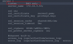 10013: An attempt was made to access a socket in a way forbi