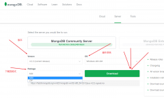Windows下安装MongoDB
