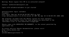 Ethical Hacking - GAINING ACCESS(2)