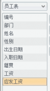 动态 SQL 及安全性