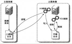 Mysql数据库的主从与主主