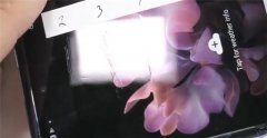 暴力测试三星Galaxy Z Flip：超薄玻璃并不结实，指甲盖即可留痕