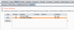 burpsuite iphone 手机抓包