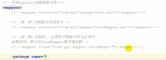 加载映射文件几种方式和mapper接口注解执行sql语句