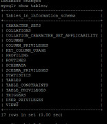 MySQL中的information_schema