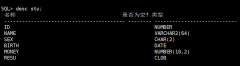 Oracle下Delete语句
