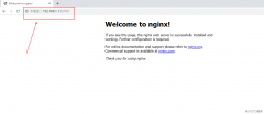 构建容器Nginx Tomcat MySQL