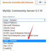 阿里云(ecs服务器)使用3-安装mysql数据库以及远程部署