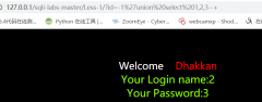 常见sql注入的类型