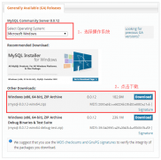 Windows 和 Linux 下安装MySql