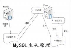 MYSQL（主从和主主配置）