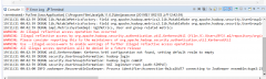 Illegal reflective access by org.apache.hadoop.security.auth