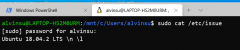 WSL2+Docker部署RabbitMQ以及在Asp.net core 中使用RabbitMQ示例（1）