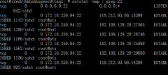 查看 Nodejs 占用的端口： ps - ef | grep 进程名字 linux通过端口查看进程：netstat
