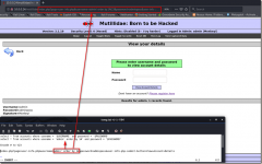 Web Penetration Testing(9)
