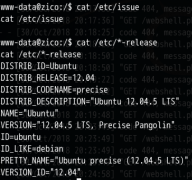 成功到 root 权限 15. 查找 flag 文件并查看 flag 文件内容 CTF--HTTP服务--路径遍历（