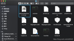 把我们下载的文件放入 修改bin文件夹下的phpstorm.vmoptions